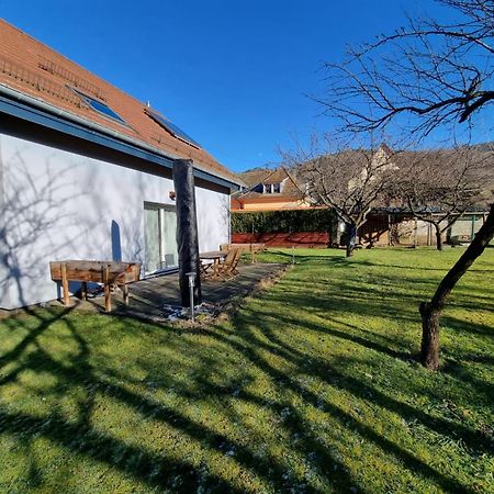Le Gite De Cleo, Maison Spacieuse Et Paisible. Metzeral Buitenkant foto